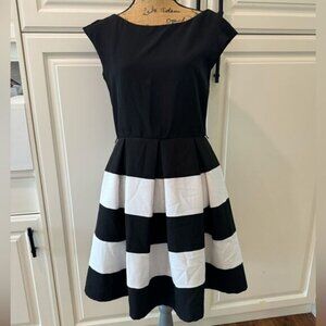 Rickis peplum fit and flare dress  8